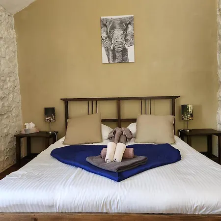 Le Relais Des Eléphants Colorés Couette-café *
