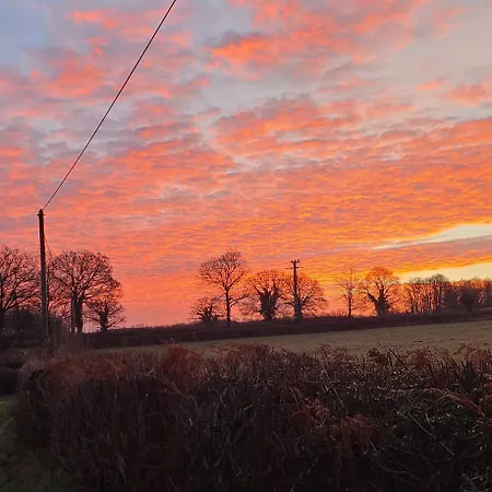 Le Relais Des Elephants Colores Virlet