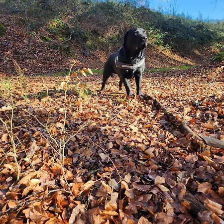 Le Relais Des Elephants Colores 3*