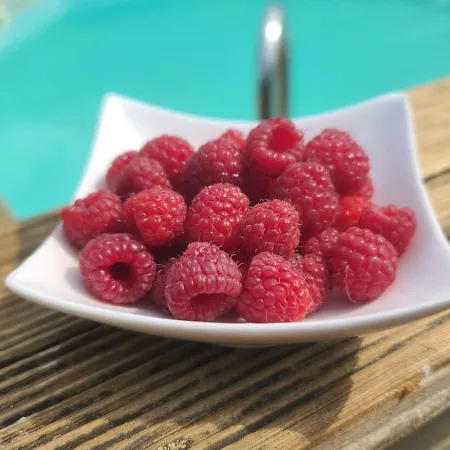 לינה וארוחת בוקר Le Relais Des Elephants Colores