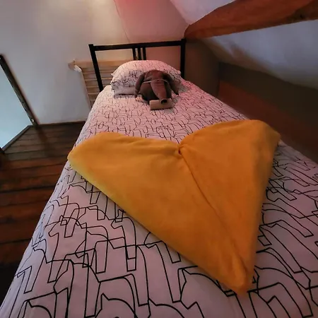 Le Relais Des Elephants Colores