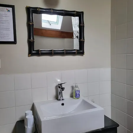 Le Relais Des Elephants Colores 3* Virlet