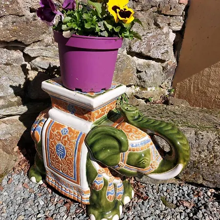 Le Relais Des Eléphants Colorés Bed & Breakfast 3*